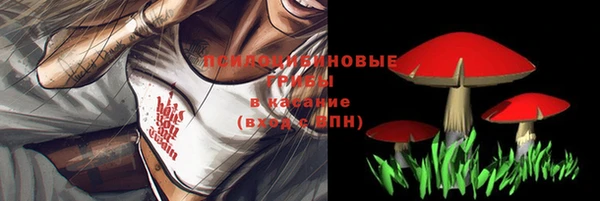 прущий лед Абаза