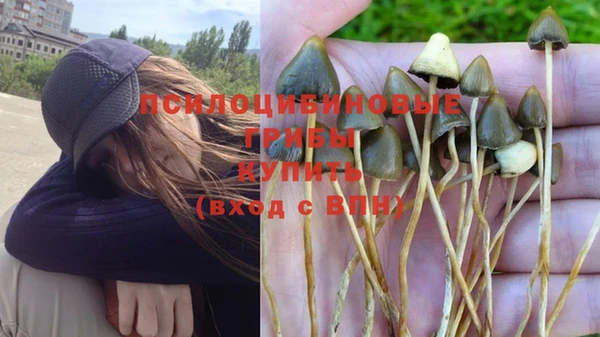 ешки Магас